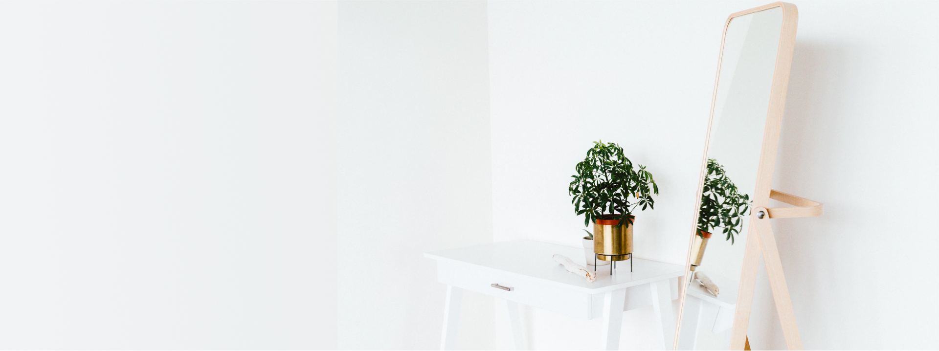 Styled interior with soft natural light