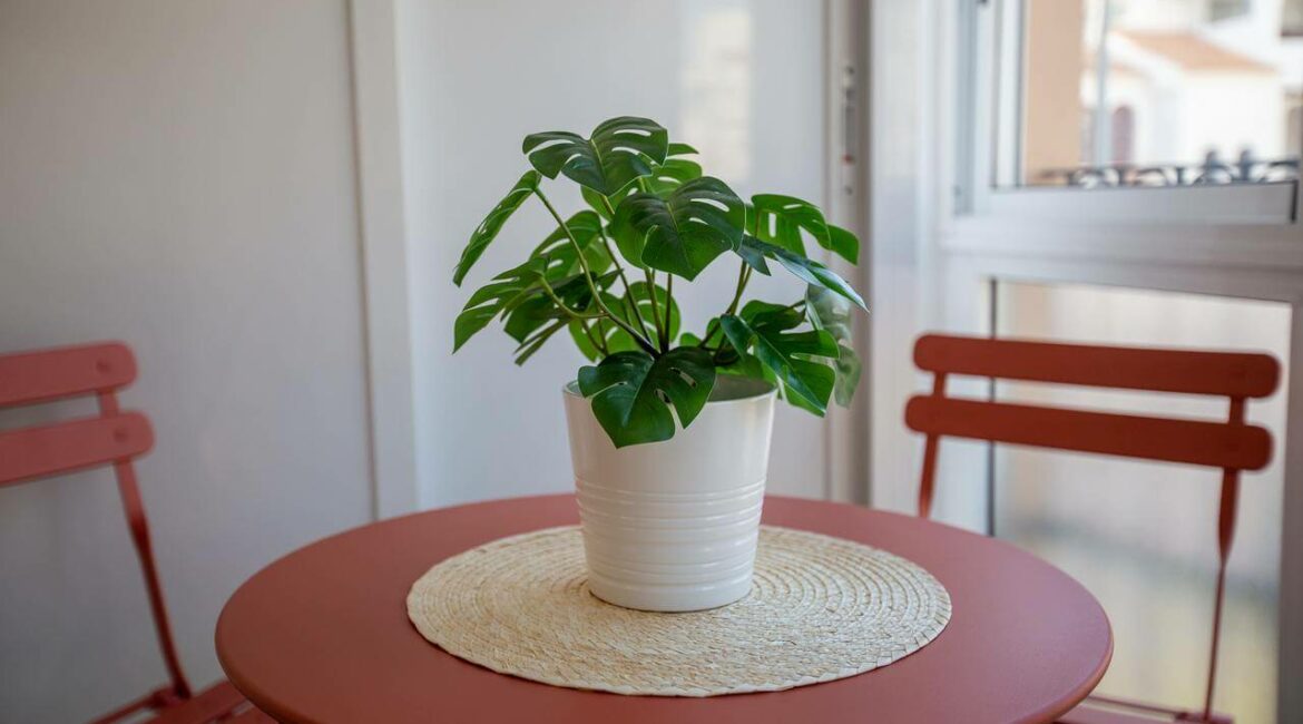 The importance of plants in decoration